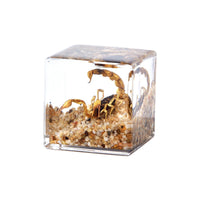 Resin Cube Decor