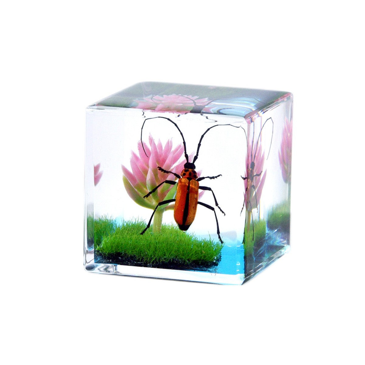 Resin Cube Decor