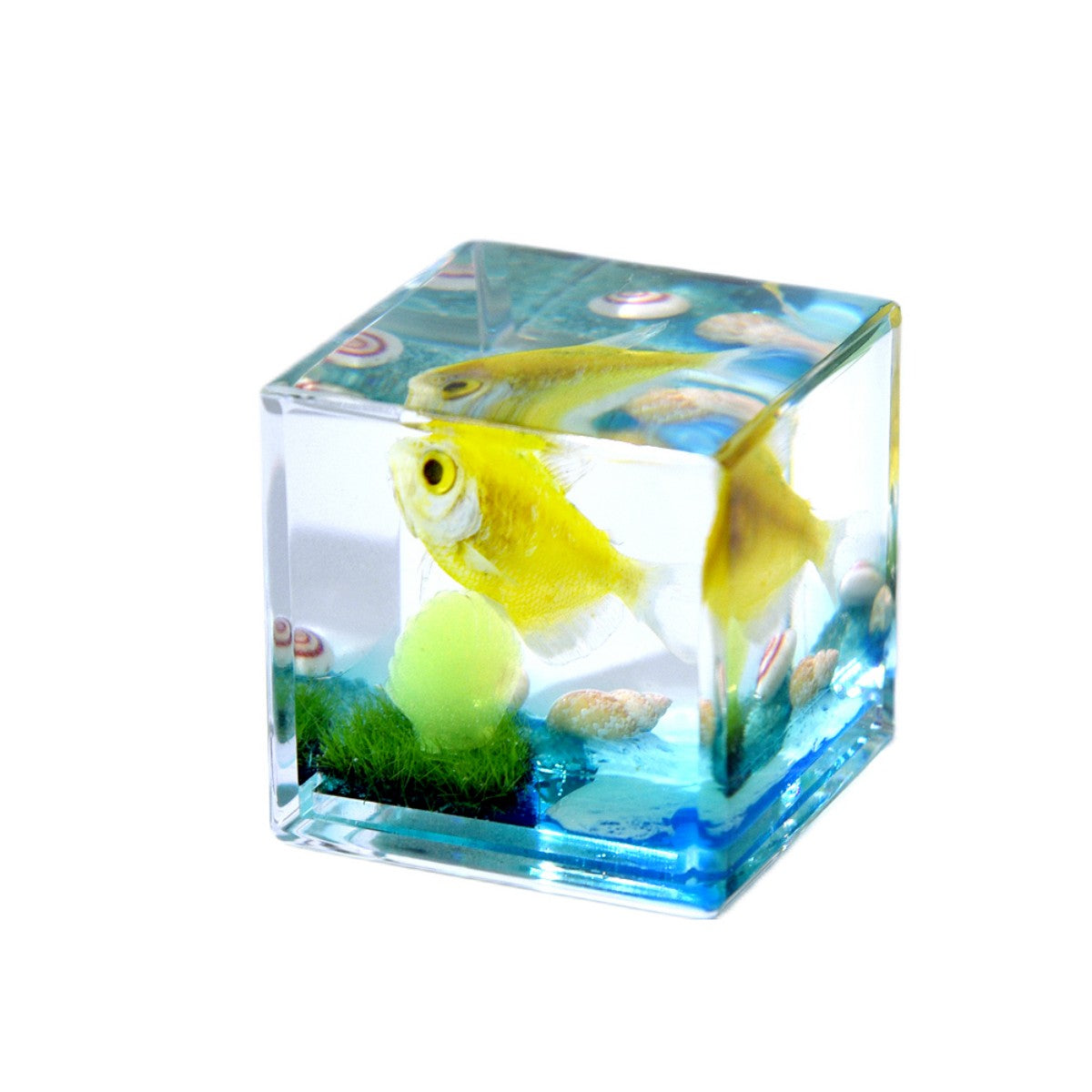 Resin Cube Decor