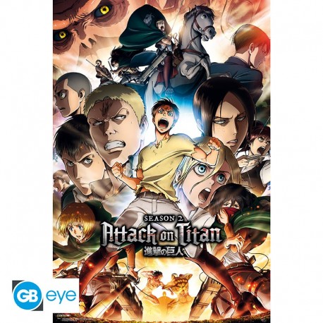 Maxi Poster