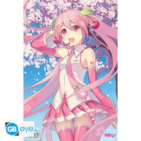 Maxi Poster