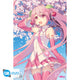 Maxi Poster