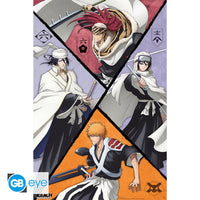 Maxi Poster