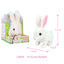 LELIA Cute Stuffed Animal Plushies