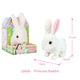 LELIA Cute Stuffed Animal Plushies