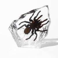 Animal/ Flower Resin Decor