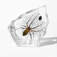 Animal/ Flower Resin Decor