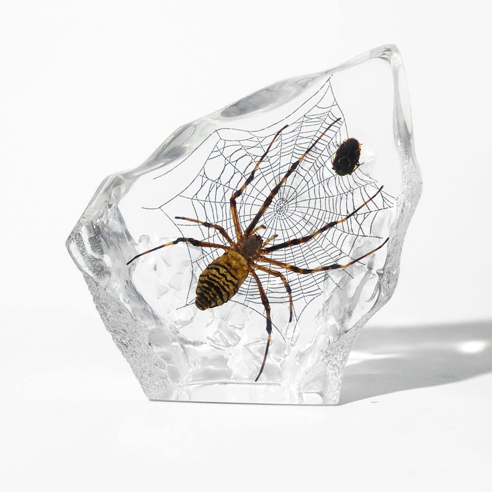 Animal/ Flower Resin Decor