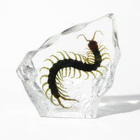 Animal/ Flower Resin Decor