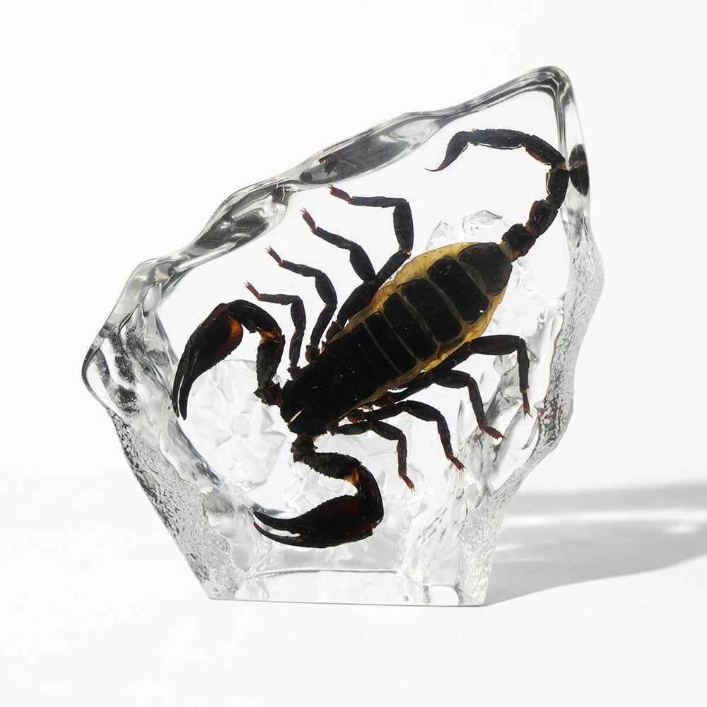 Animal/ Flower Resin Decor