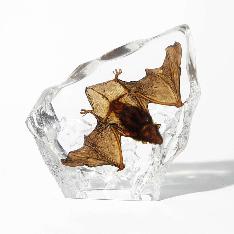 Animal/ Flower Resin Decor