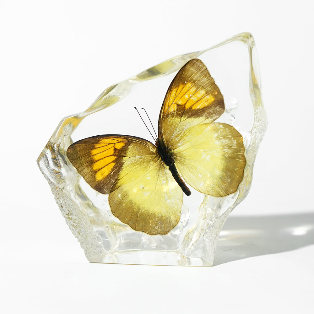 Animal/ Flower Resin Decor