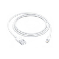 Apple Lightning Male to USB Male Cable 1M