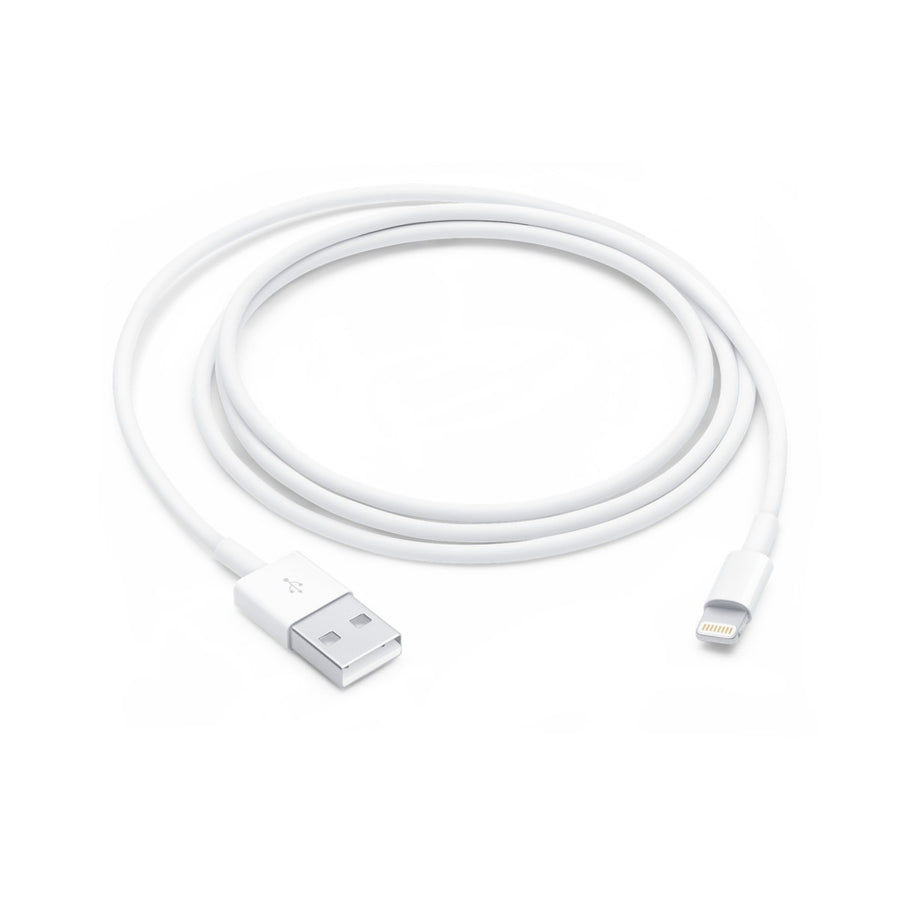 Apple Lightning Male to USB Male Cable 1M