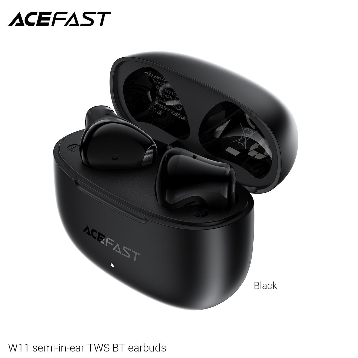 ACEFAST True Wireless Earphones