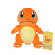 Pokemon Plush Toys